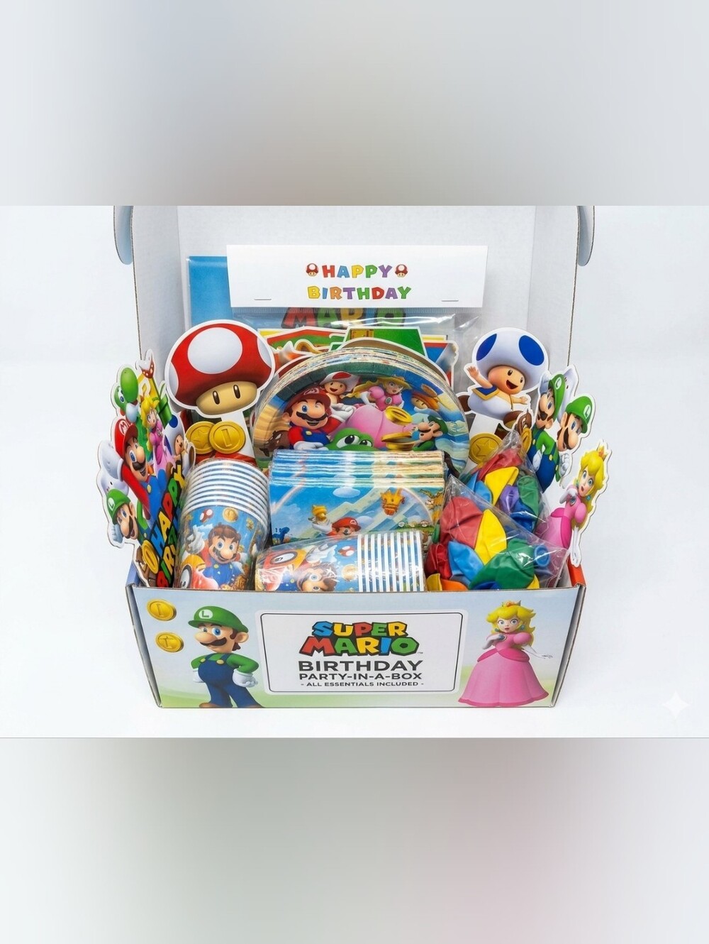 Nintendo Mario Kart Party In A Box!